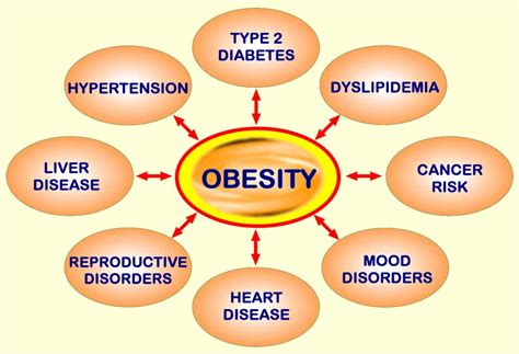 obease|Overview of Obesity